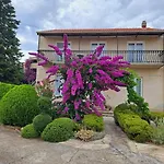 Lejlighed Bosana Biograd