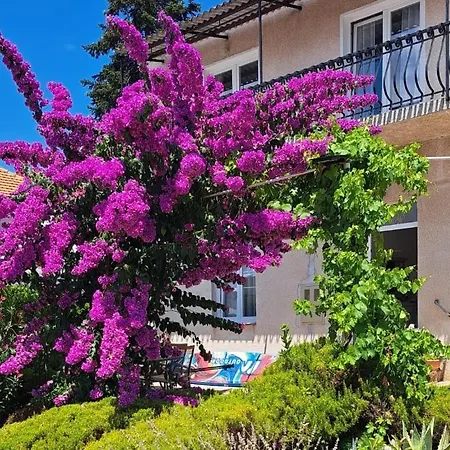 Bosana Biograd *