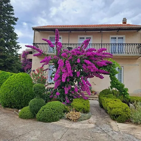 Apartment Bosana Biograd
