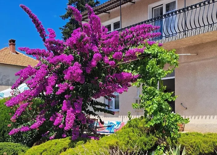Bosana Biograd *