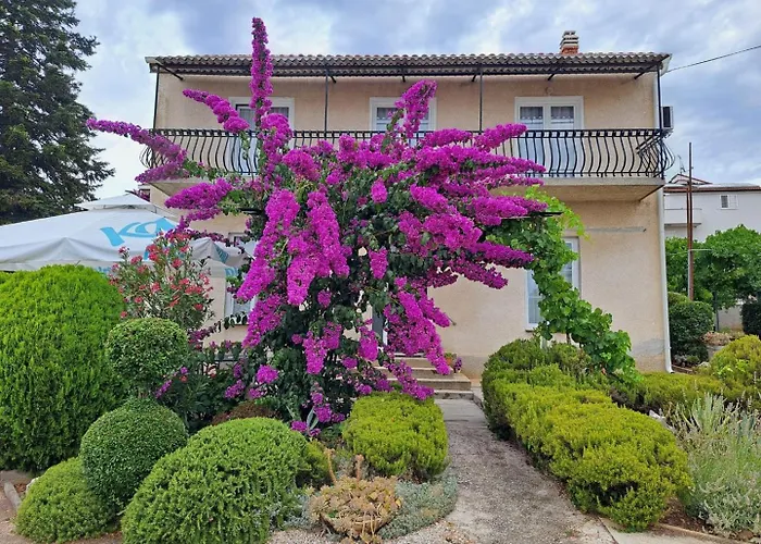 Bosana Biograd