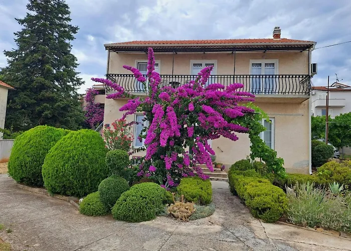 Daire Bosana Biograd