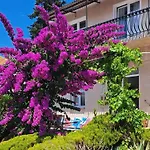Bosana Biograd *