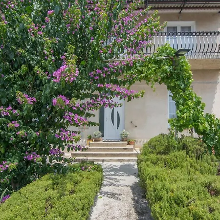 Bosana Biograd Biograd Na Moru