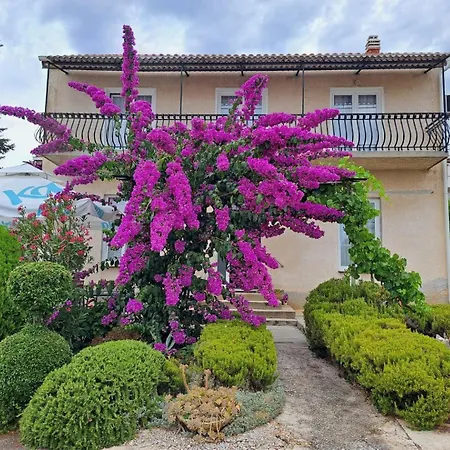 Bosana Biograd