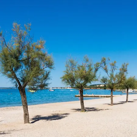 Bosana Biograd Biograd Na Moru
